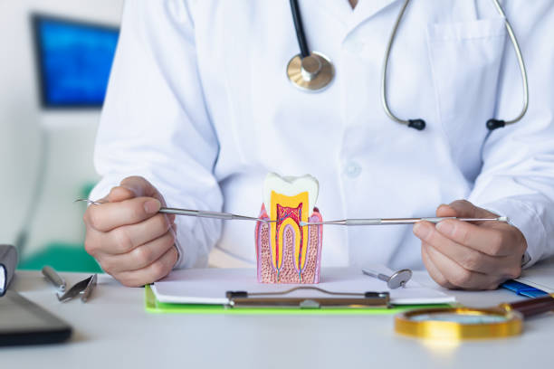 Best Pediatric Emergency Dentist in Holmen, WI